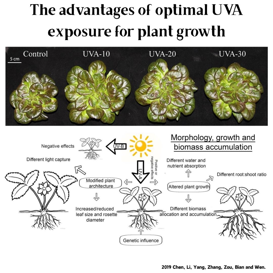 Lámpara LED Inteligente para P - Planted Aquarium Uv Light reseña y precio