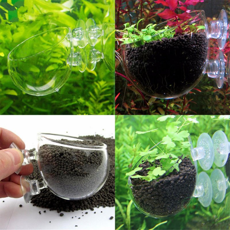Maceta colgante para acuario,  - Aquarium Plant Seeds reseña y precio
