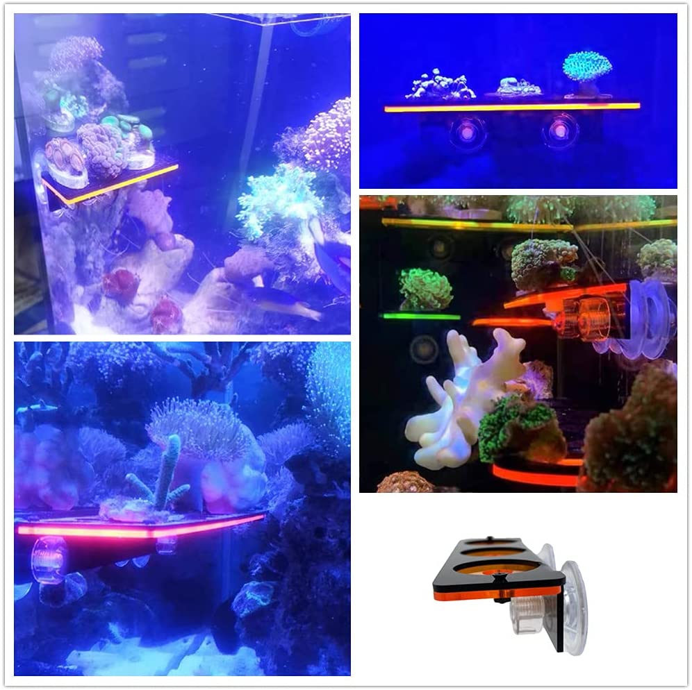 Soporte de enchufe de Coral fl - Aquarium Plant Holder reseña y precio