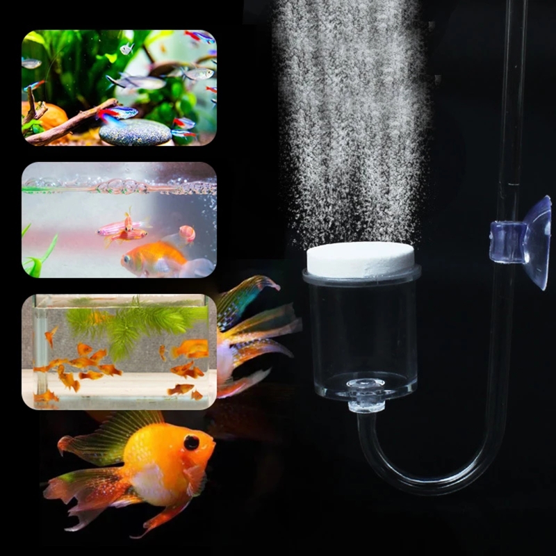 Juego de 4 piezas de difusor d - Planted Aquarium Parameters reseña y precio