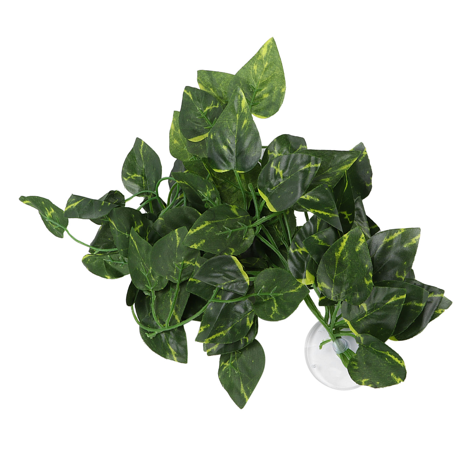 Planta de simulación de reptil - Aquarium Plant Vine reseña y precio