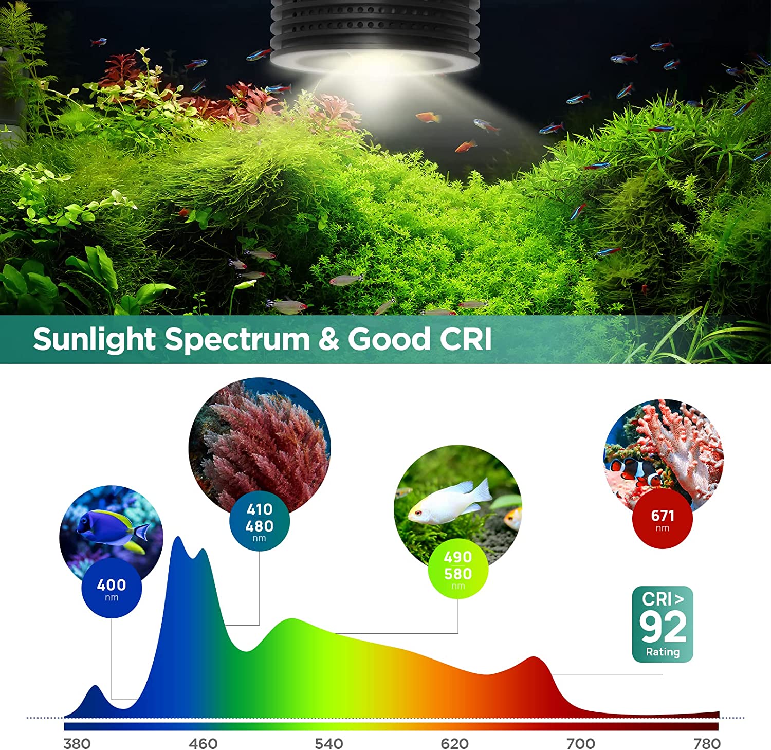 Lominie Asta 20 Luz de acuario - Planted Aquarium Uv Light reseña y precio