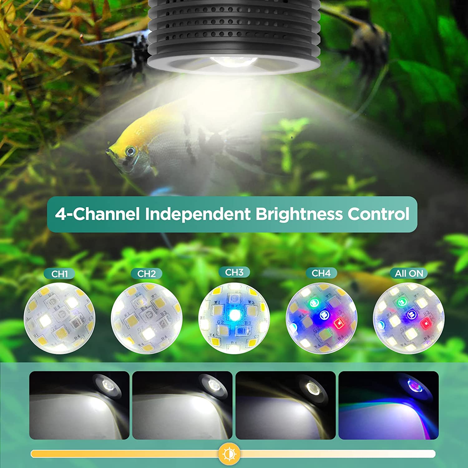Lominie Asta 20 Luz de acuario - Planted Aquarium Uv Light reseña y precio