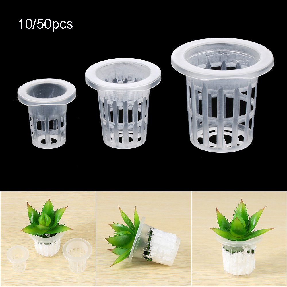 Suministros de jardín para pla - Aquarium Plant Seeds reseña y precio