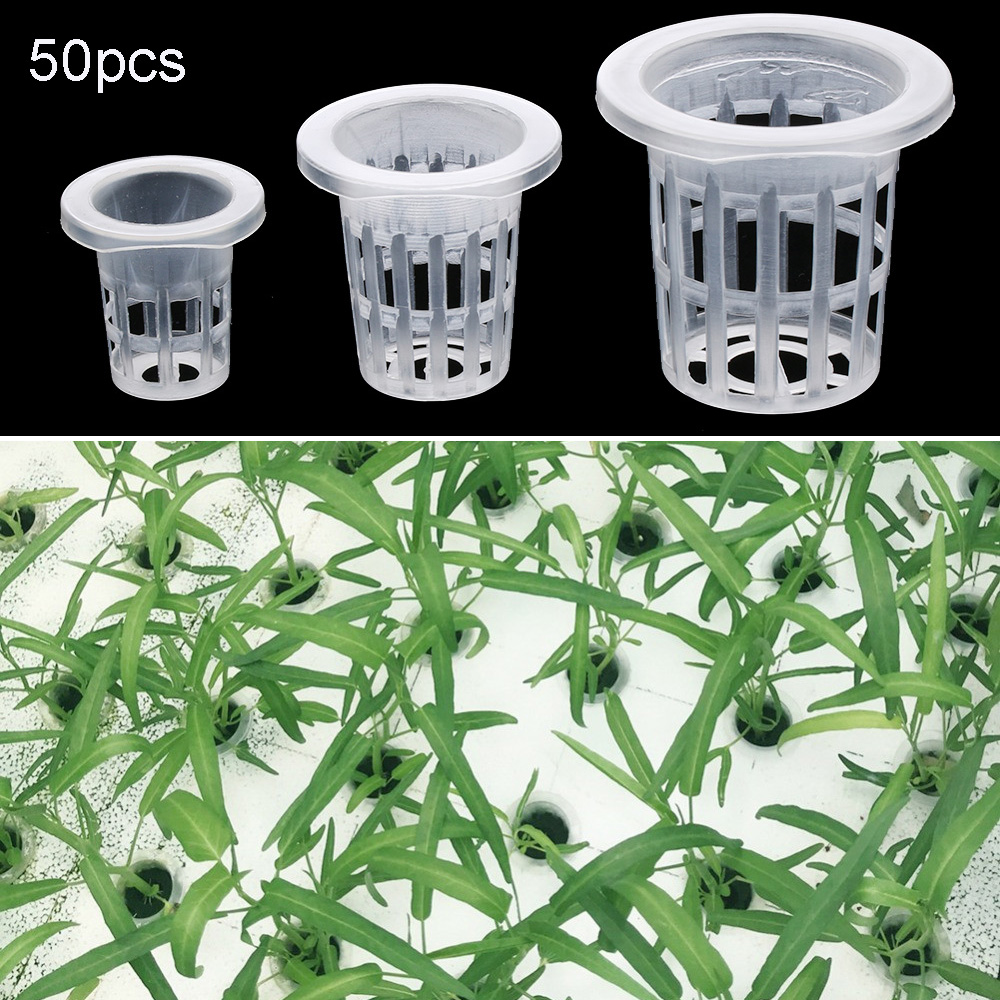 Suministros de jardín para pla - Aquarium Plant Seeds reseña y precio