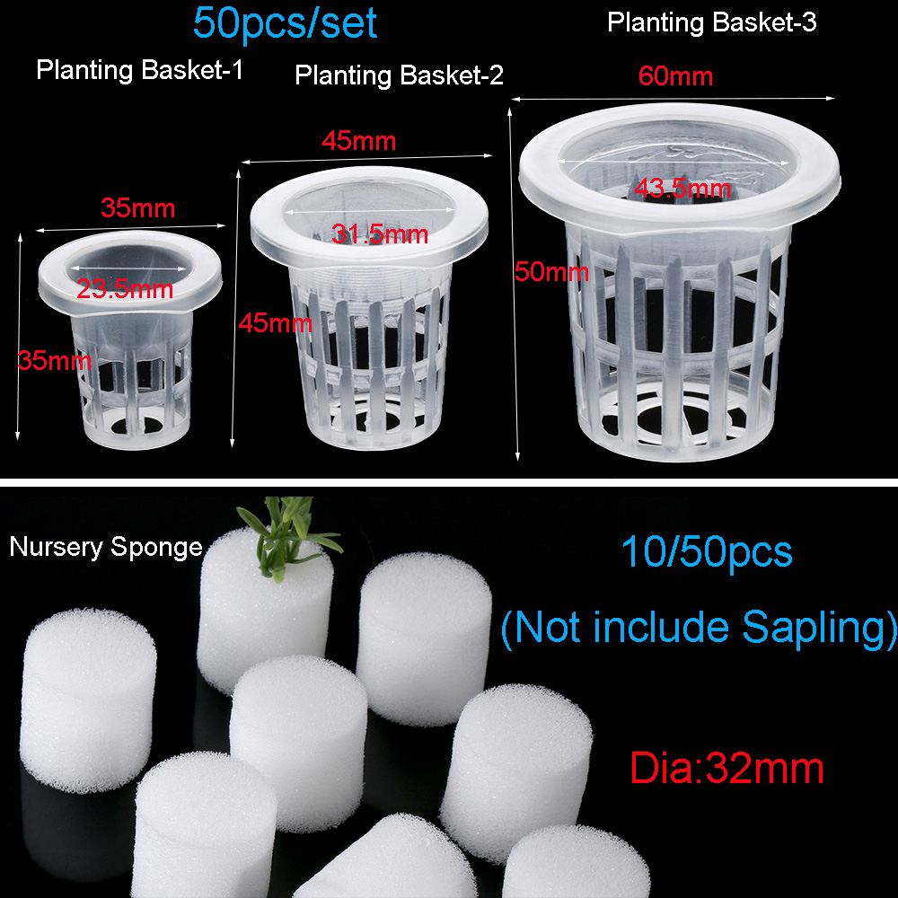 Suministros de jardín para pla - Aquarium Plant Seeds reseña y precio